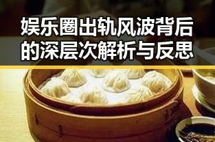 娱乐圈出轨风波背后的深层次解析与反思