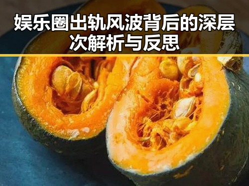 娱乐圈出轨风波背后的深层次解析与反思