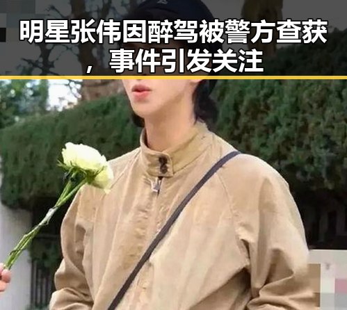 明星张伟因醉驾被警方查获，事件引发关注