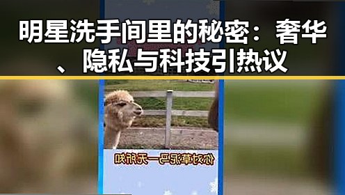 明星洗手间里的秘密：奢华、隐私与科技引热议